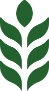 HarvestMedia Designs Logo