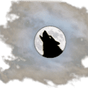 Howler Web Design logo