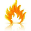 Ignited Biz, LLC Logo