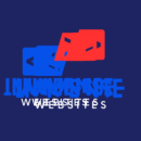 Immense Websites Logo