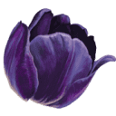 Indigo Digitaal Logo
