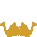 Udaipur Web Designer logo