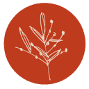 Jessica Brooks Website Design logo