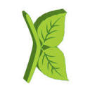 Karen Klement Designs Logo
