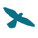 Kestrel Technologies, Inc. Logo