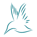 Kingfisher Content & SEO Wigan logo