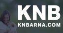 KNBarna, LLC Logo