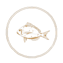Little Fish Digital Marketing Logo