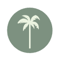 Little Palm Creative Logo