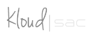 Local Presence logo