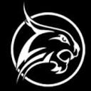 Lynx19 Logo