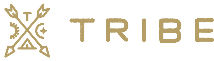 Tribe Interactive Logo