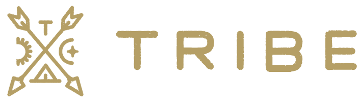 Tribe Interactive logo