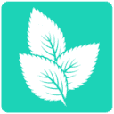 Mint Digital Marketing logo
