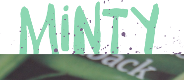 Minty Design Limited Logo