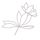 mlc designs Logo