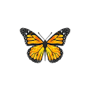 Monarch Creative Logo