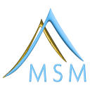 MSM Managing Solutions Logo