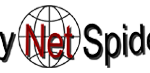 My Net Spider Logo