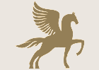 Namostee Design Studio logo