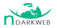 NDark Web Solutions Logo