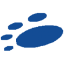 Nelsonecom logo