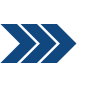 NetMouser.com LLC Logo
