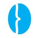 Netphiles Logo