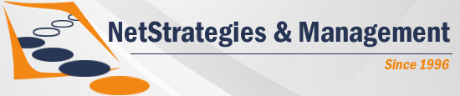 Netstrategies & Management Logo