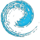 Netsplashing Logo