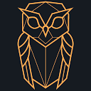 Nightowl Studio Logo