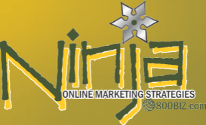 800BIZ Ninja Marketing Logo