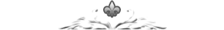 North Coast Web Design & Consulting LLC logo
