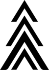 Oak Marketing logo