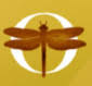O Web Designs logo
