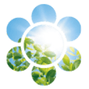 Phat Design logo
