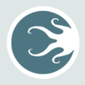 Pixel Squid Design Logo