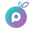 Plum Digital Hub Logo