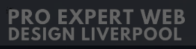 Top Pro Web Design Liverpool Expert Logo