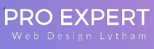 Top Pro Web Design Lytham Expert Logo