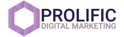 Prolific Digital Marketing Logo
