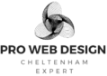 Top Pro Web Design Cheltenham Expert Logo