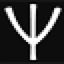 psybir logo