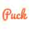 Puck Web Design Logo