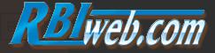 Professional Website Designers Logo