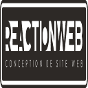 ReactionWeb Agence Web Logo