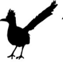 Roadrunner Media Website Design logo