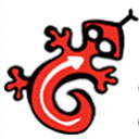 Salamandre Conception Infographique Logo
