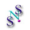 SantoSanto.Net Website Services Logo