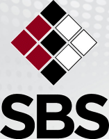Successful Business Solutions, Inc. Logo